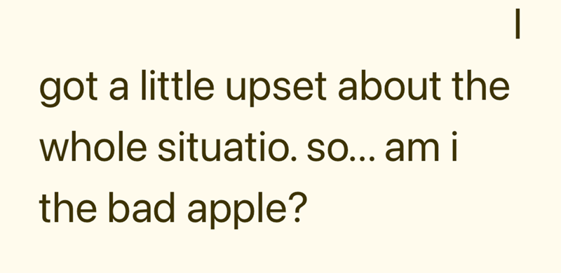 got a little upset about the whole situatio. so... am i the bad apple?