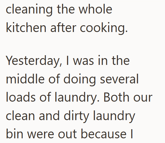 cleaning the whole kitchen after cooking. Yesterday, I was in the middle of doing several loads of laundry. Both our clean and dirty laundry bin were out because I