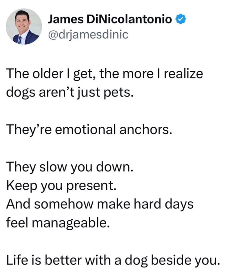 James DiNicolantonio @drjamesdinic The older I get, the more I realize dogs aren't just pets. They're emotional anchors. They slow you down. Keep you present. And somehow make hard days feel manageable. Life is better with a dog beside you.