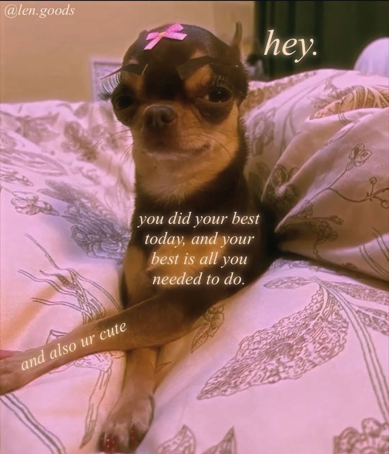 @len.goods hey. and also ur cute you did your best today, and your best is all you needed to do.