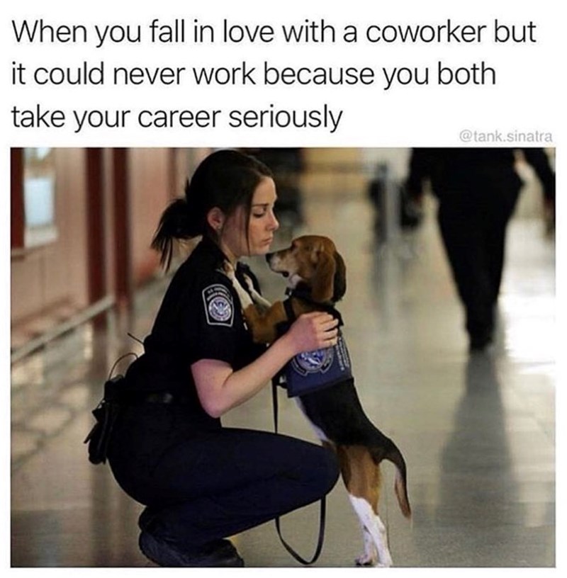 When you fall in love with a coworker but it could never work because you both take your career seriously @tank.sinatra
