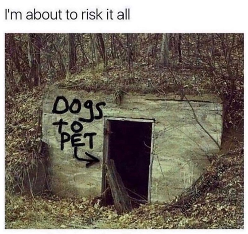I'm about to risk it all Dogs to PET @Reverest