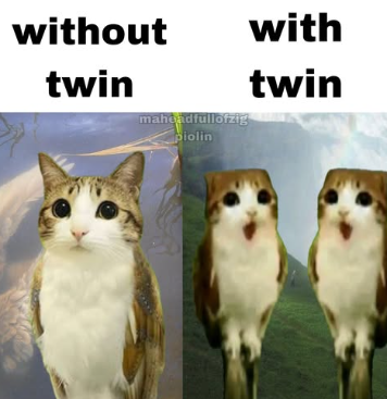 without with twin mahdadfullofzig piolin twin