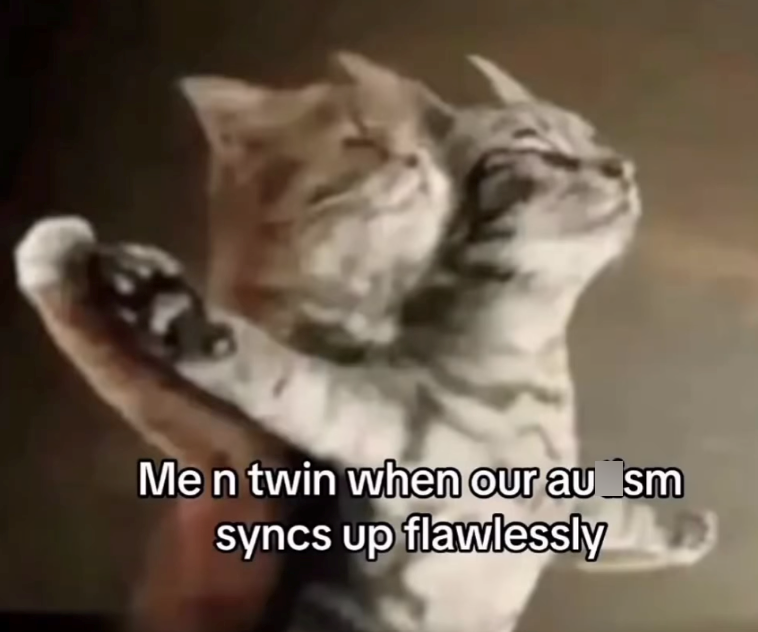 Me n twin when our au_sm syncs up flawlessly