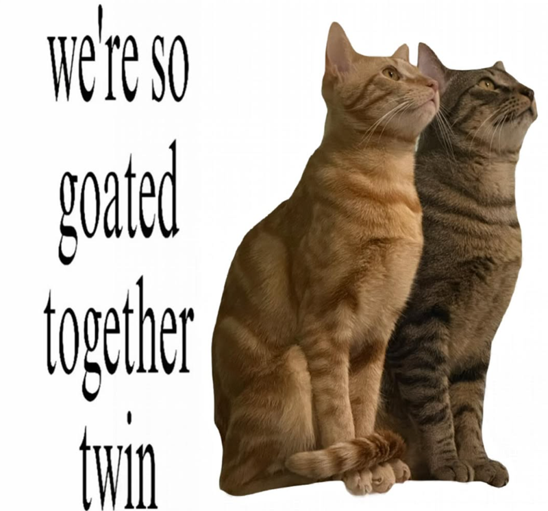 we're so goated together