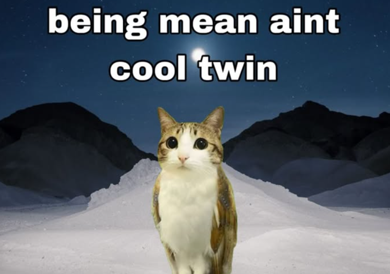 being mean aint cool twin