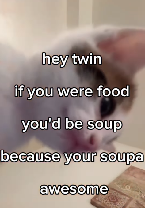 hey twin if you were food you'd be soup because your soupa awesome