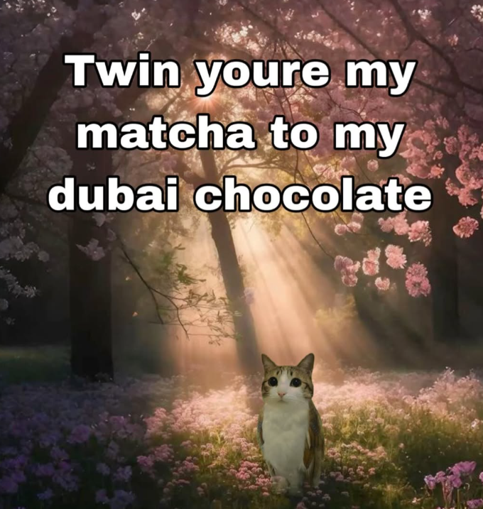 Twin youre my matcha to my dubai chocolate