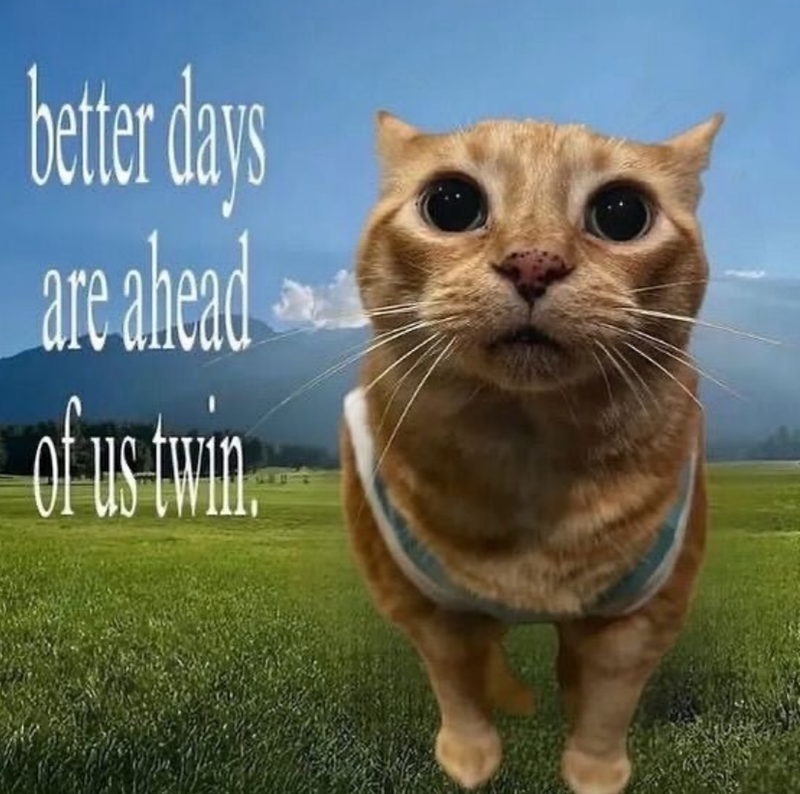 better days are ahead of us twin.