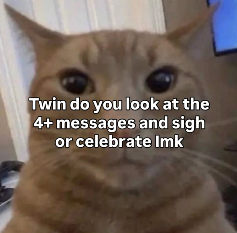 Twin do you look at the 4+ messages and sigh or celebrate Imk