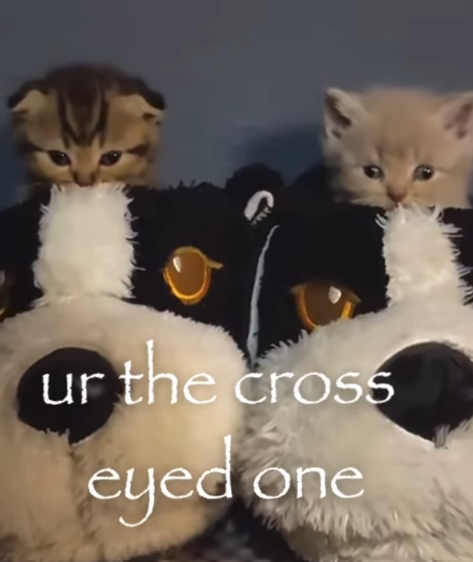 ur the cross eyed one
