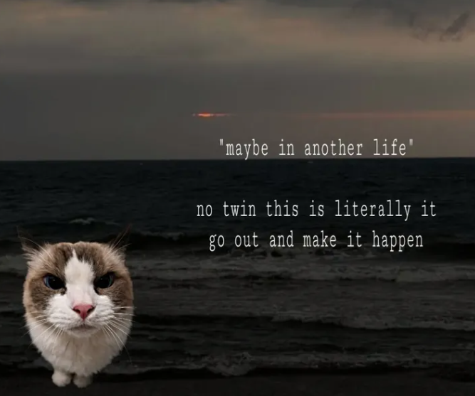 "maybe in another life' no twin this is literally it go out and make it happen