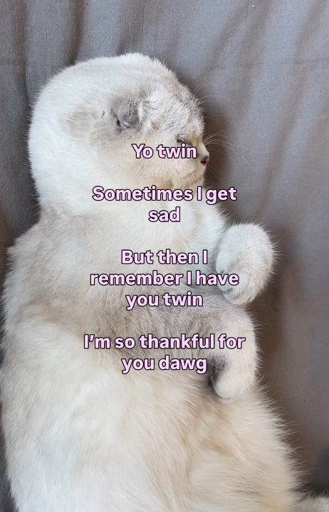 Yo twin Sometimes I get sad But then I remember I have you twin I'm so thankful for you dawg