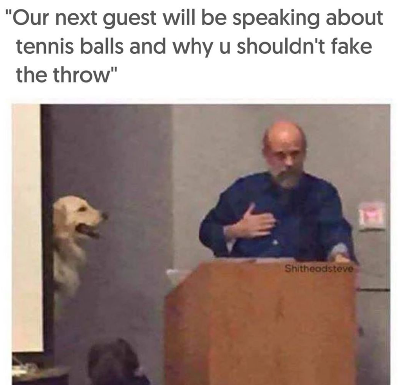 "Our next guest will be speaking about tennis balls and why u shouldn't fake the throw" Shitheadsteve 111