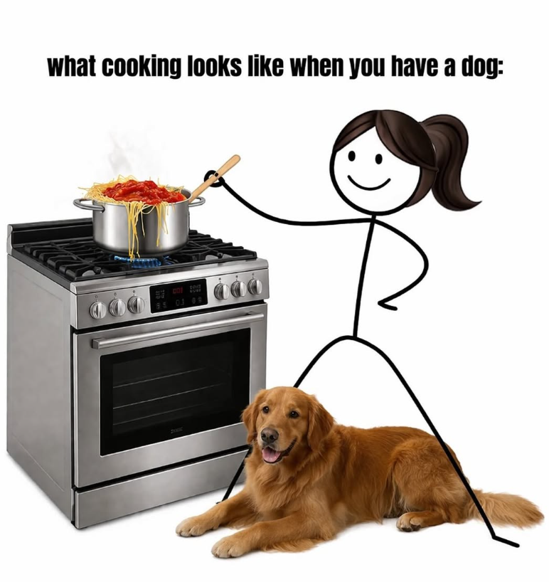 what cooking looks like when you have a dog: thi 95 03 09