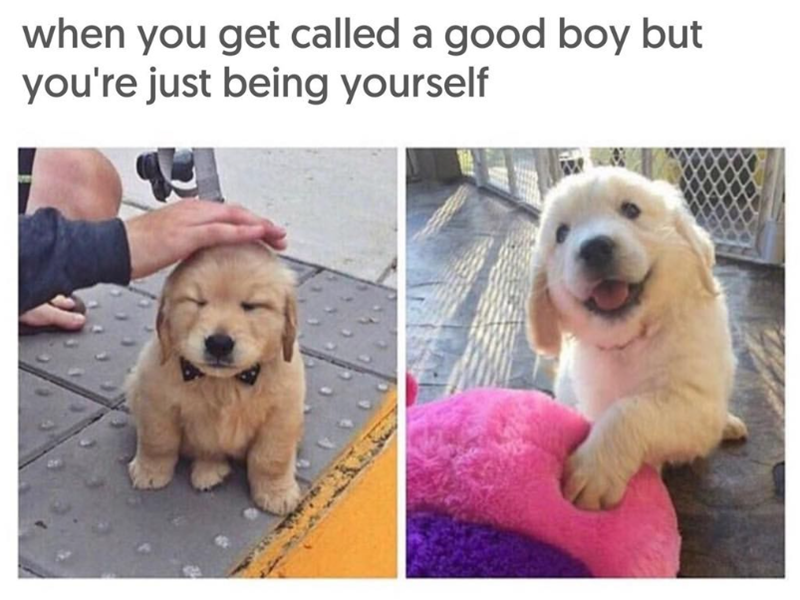 when you get called a good boy but you're just being yourself