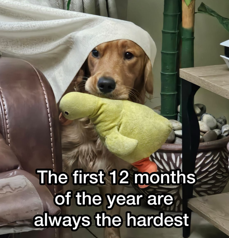 The first 12 months of the year are always the hardest