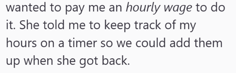 wanted to pay me an hourly wage to do it. She told me to keep track of my hours on a timer so we could add them up when she got back.