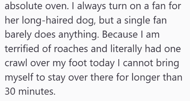 absolute oven. I always turn on a fan for her long-haired dog, but a single fan barely does anything. Because I am terrified of roaches and literally had one crawl over my foot today I cannot bring myself to stay over there for longer than 30 minutes.