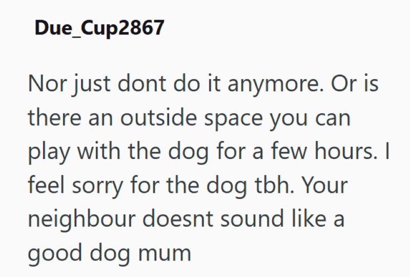Due_Cup2867 Nor just dont do it anymore. Or is there an outside space you can play with the dog for a few hours. I feel sorry for the dog tbh. Your neighbour doesnt sound like a good dog mum