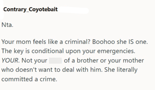 Contrary_Coyotebait Nta. Your mom feels like a criminal? Boohoo she IS one. The key is conditional upon your emergencies. YOUR. Not your of a brother or your mother who doesn't want to deal with him. She literally committed a crime.