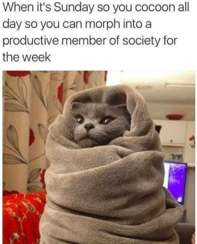 When it's Sunday so you cocoon all day so you can morph into a productive member of society for the week