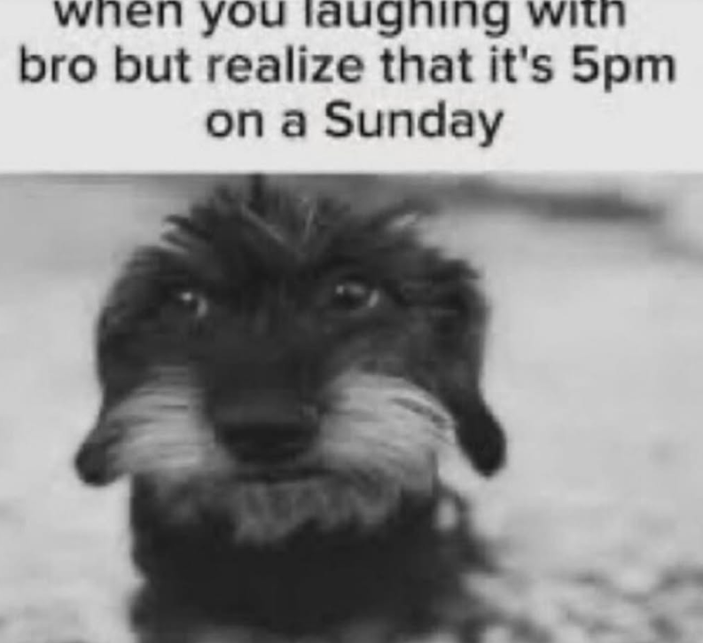 when you laughing with bro but realize that it's 5pm on a Sunday