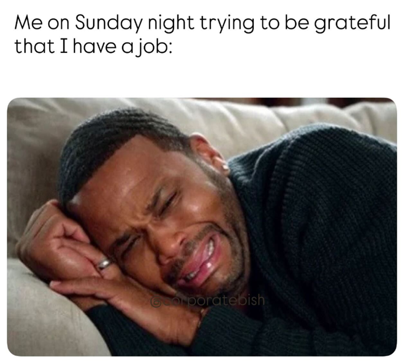 Me on Sunday night trying to be grateful that I have a job: Corporatebish