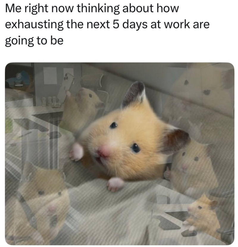 Me right now thinking about how exhausting the next 5 days at work are going to be