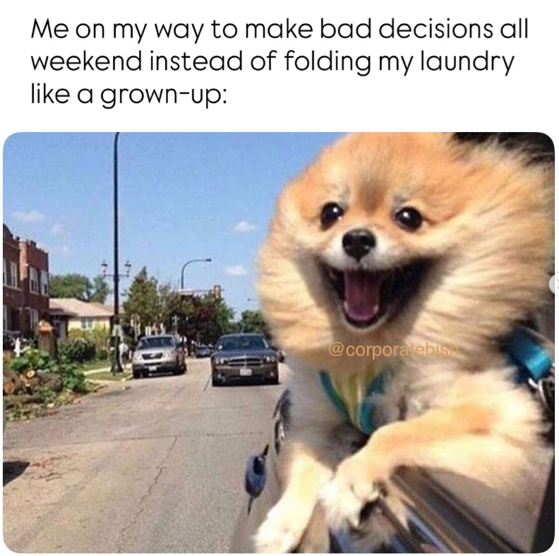 Me on my way to make bad decisions all weekend instead of folding my laundry. like a grown-up: @corporatebis