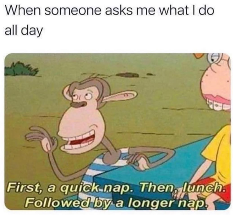 When someone asks me what I do all day First, a quick-nap. Then, lunch. Followed by a longer nap.