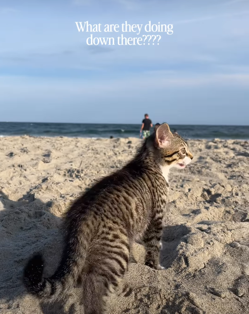 What are they doing down there????