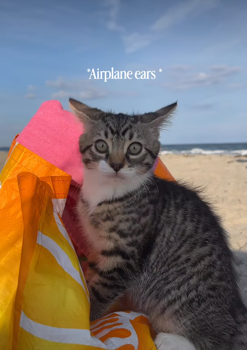 *Airplane ears*