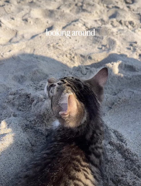 looking around