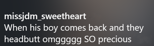 missjdm_sweetheart When his boy comes back and they headbutt omggggg SO precious