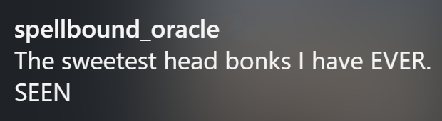 spellbound_oracle The sweetest head bonks I have EVER. SEEN