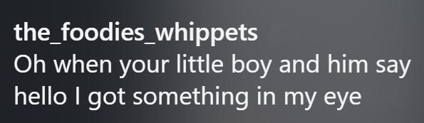 the_foodies_whippets Oh when your little boy and him say hello I got something in my eye