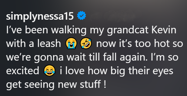 simplynessa15 ❤ I've been walking my grandcat Kevin with a leash now it's too hot so we're gonna wait till fall again. I'm so excited i love how big their eyes get seeing new stuff!