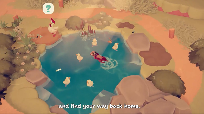 QUACK and find your way back home.