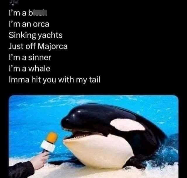 I'm ab I'm an orca Sinking yachts Just off Majorca I'm a sinner I'm a whale Imma hit you with my tail