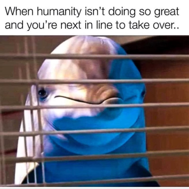 When humanity isn't doing so great and you're next in line to take over..