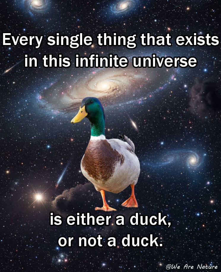 Every single thing that exists in this infinite universe is either a duck, or not a duck. @We Are Nature