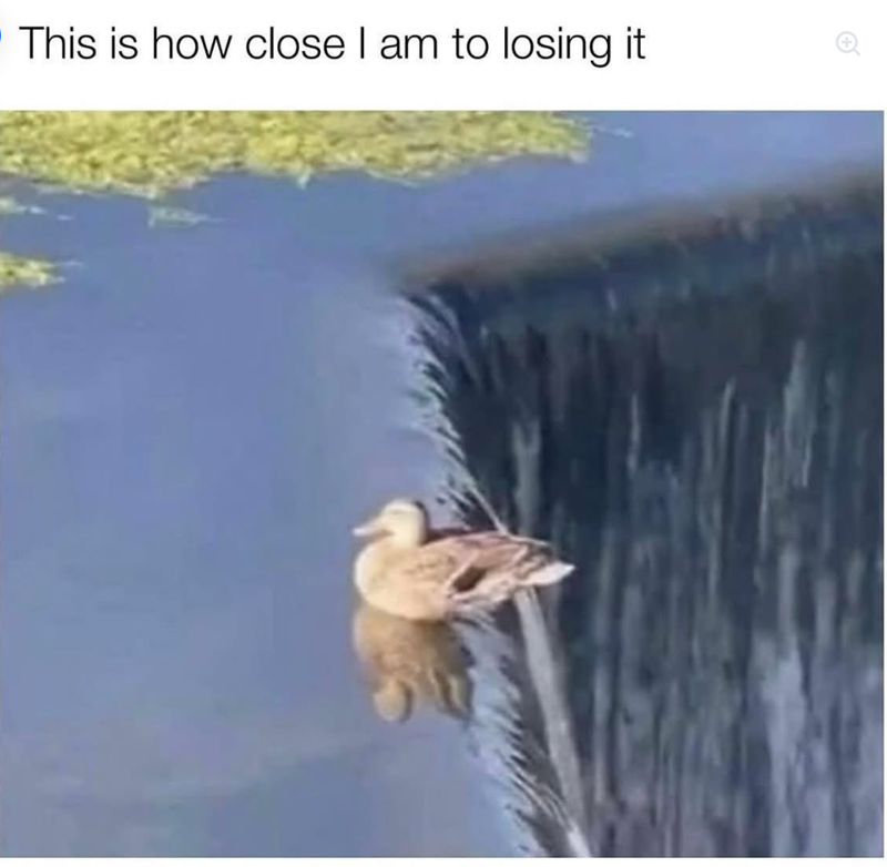 This is how close I am to losing it