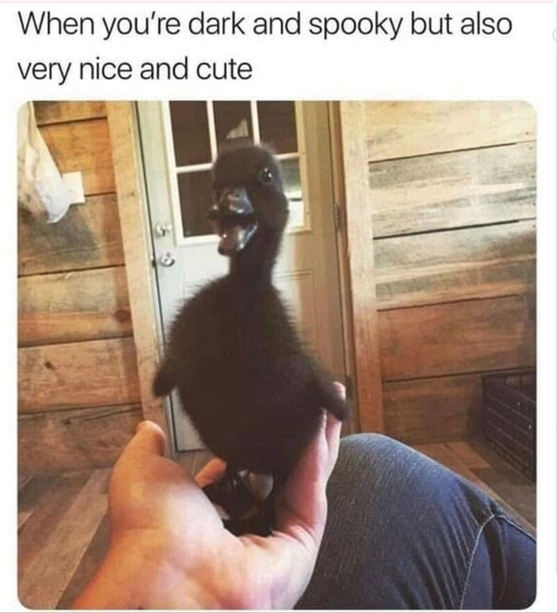 When you're dark and spooky but also very nice and cute