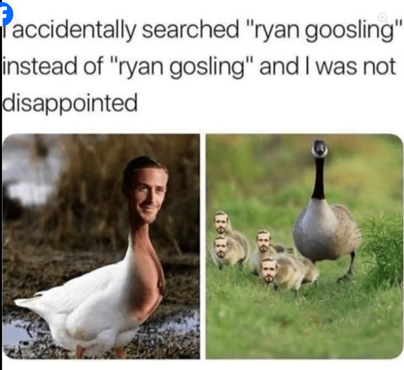 accidentally searched "ryan goosling" instead of "ryan gosling" and I was not disappointed BoBo Te He