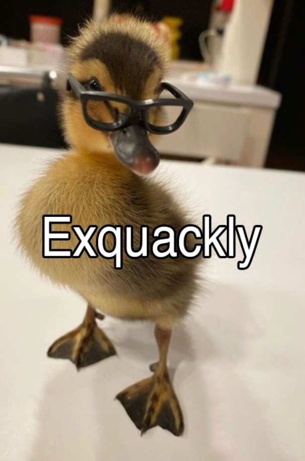 Exquackly