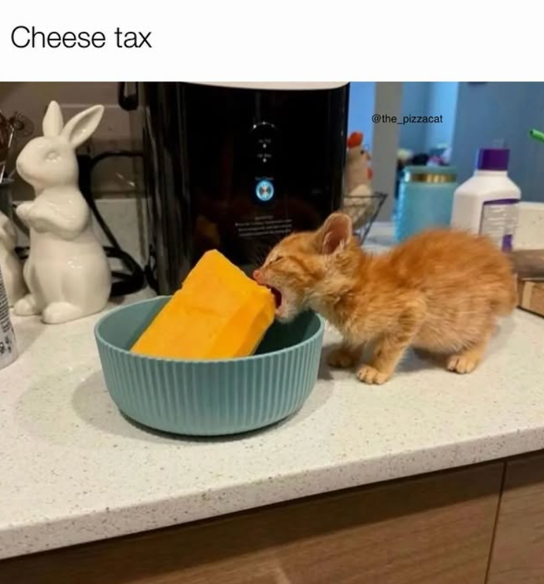 Cheese tax @the_pizzacat