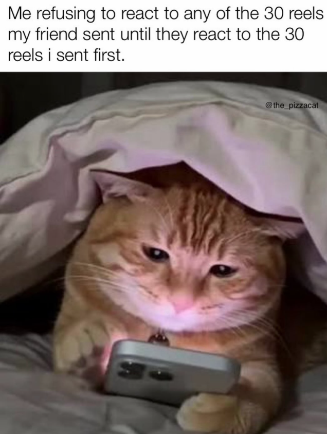 Me refusing to react to any of the 30 reels my friend sent until they react to the 30 reels i sent first. @the_pizzacat