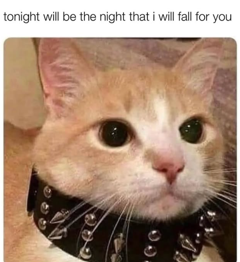 tonight will be the night that i will fall for you