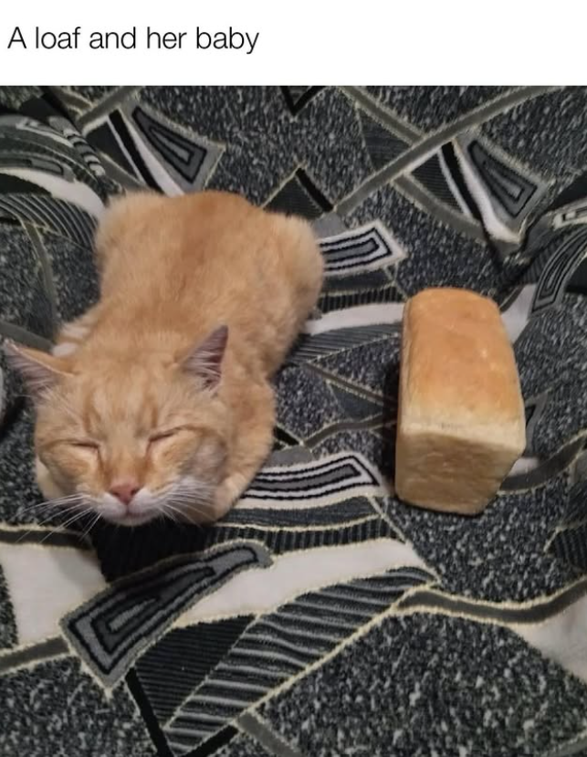 A loaf and her baby